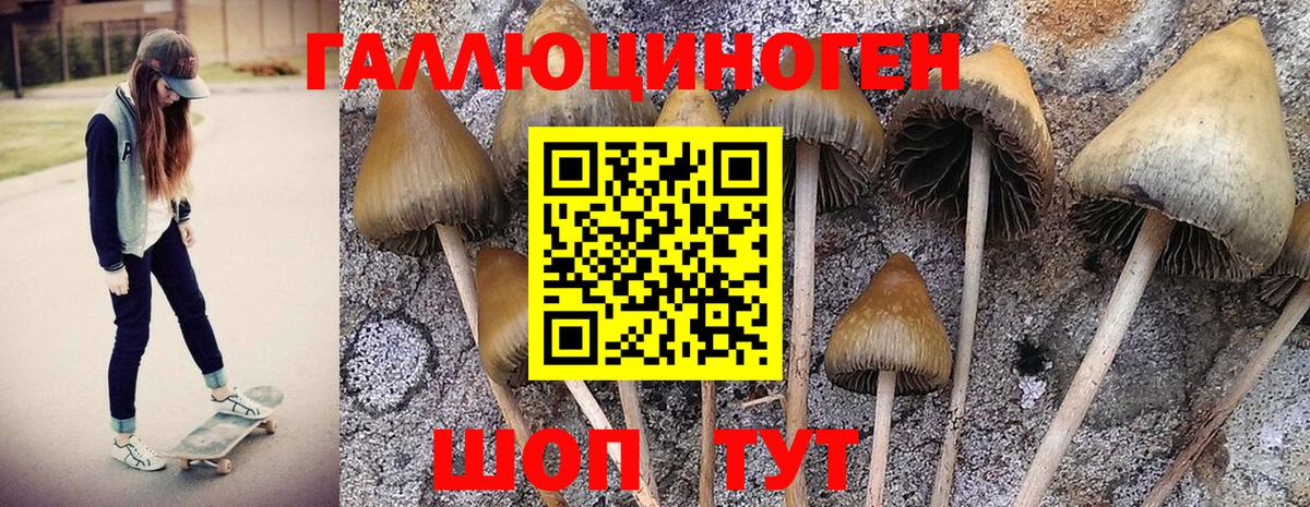 Галлюциногенные грибы прущие грибы  Псилоцибиновые грибы Magic Shrooms  Коммунар  Вход с VPN 